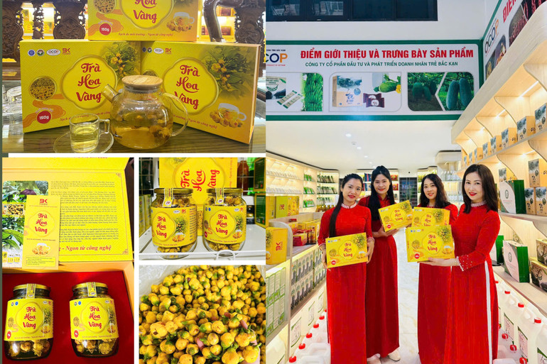 Sản phẩm trà hoa vàng được thiết kế thành sét quà tặng cao cấp 99.jpg
