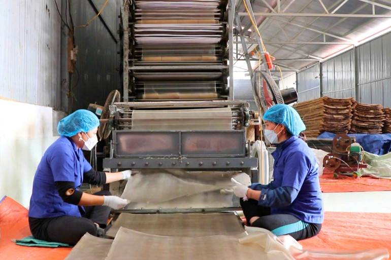 HTX Tài Hoan đầu tư công nghệ, tăng năng suất, giảm chi phí nhân công. 42.jpg