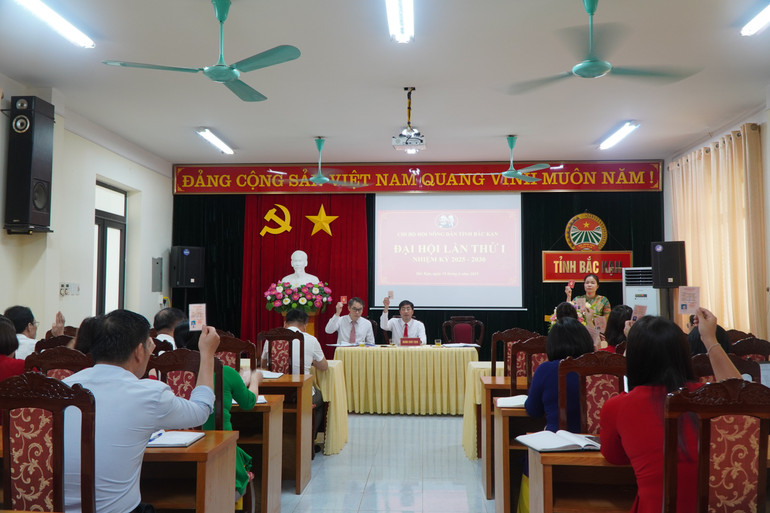 សមាជបានបោះឆ្នោតលើគោលដៅជាក់លាក់មួយចំនួននៃដំណោះស្រាយ។ dsc09284.jpg