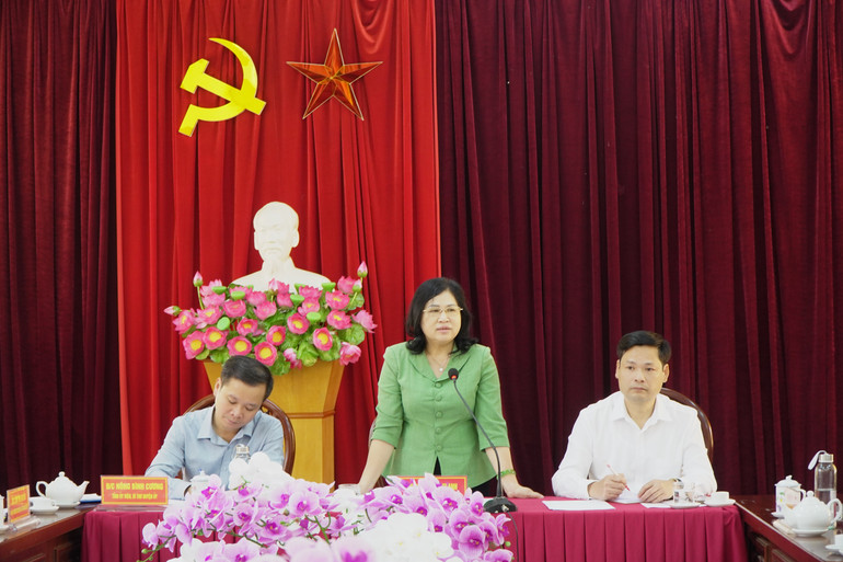 Đồng chí Phương Thị Thanh, Phó Bí thư thường trực Tỉnh ủy, Chủ tịch HĐND tỉnh phát biểu tại buổi làm việc. dsc05784.jpg