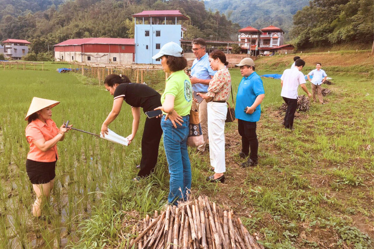 Đoàn chuyên gia lấy mẫu nước tại cánh đồng xã Yến Dương (Ba Bể) 111.jpg