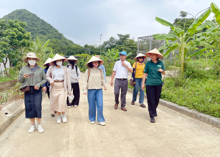 Hướng dẫn viên Đinh Thị Ninh (áo xanh ngoài cùng từ phải qua trái) giới thiệu tổng quan về Cơ sở bảo tồn gấu Ninh Bình với Đoàn cán bộ phóng viên Báo Bắc Kạn. Gấu NB 4.jpg
