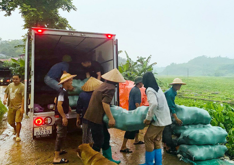 Thương lái thu mua bí xanh cho bà con ngay tại ruộng đồng. Bí thơm 1.jpg