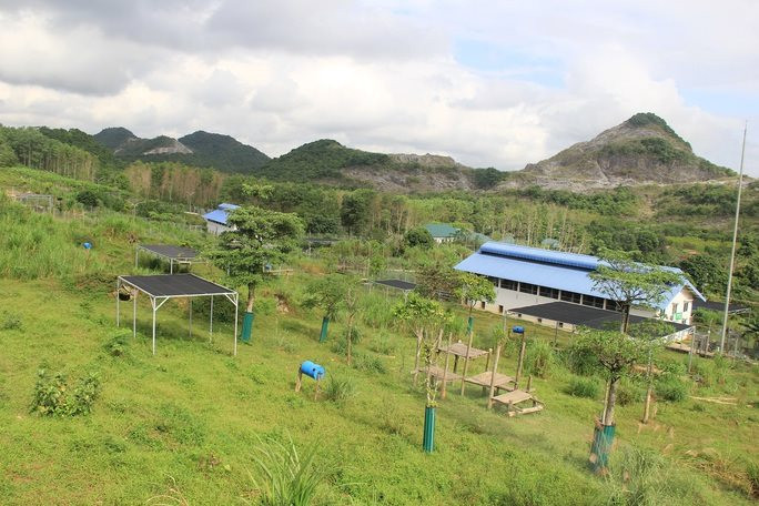 Một góc không gian sống bán hoang dã của gấu tại Cơ sở bảo tồn gấu Ninh Bình. img1027-16742294980201238535786.jpg