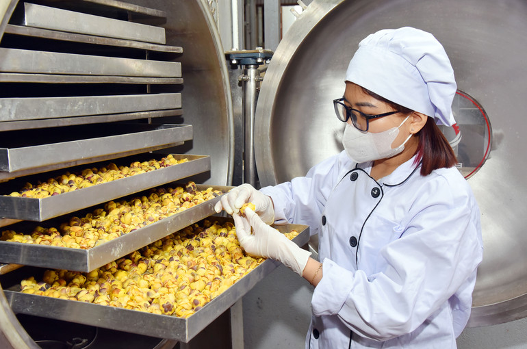 Công nhân Công ty TNHH Hà Diệp (TP. Bắc Kạn) kiểm tra chất lượng sản phẩm. Công nhân Công ty TNHH Hà Diệp (TP. Bắc Kạn) kiểm tra chất lượng sản phẩm.