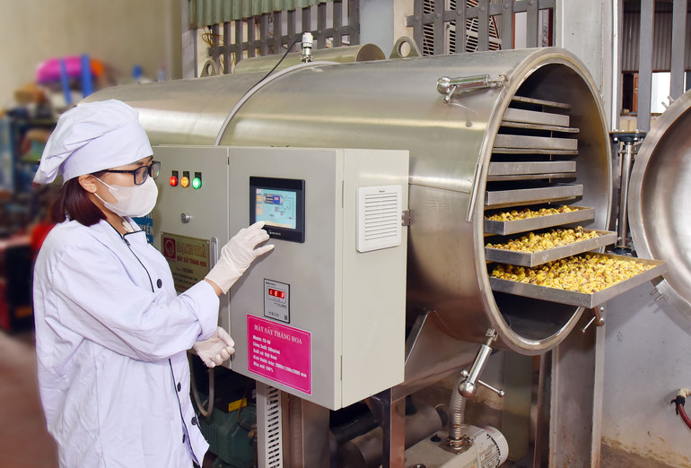 Công nhân Công ty TNHH Hà Diệp vận hành thiết bị được hỗ trợ trong sản xuất. Công nhân Công ty TNHH Hà Diệp vận hành thiết bị được hỗ trợ trong sản xuất.