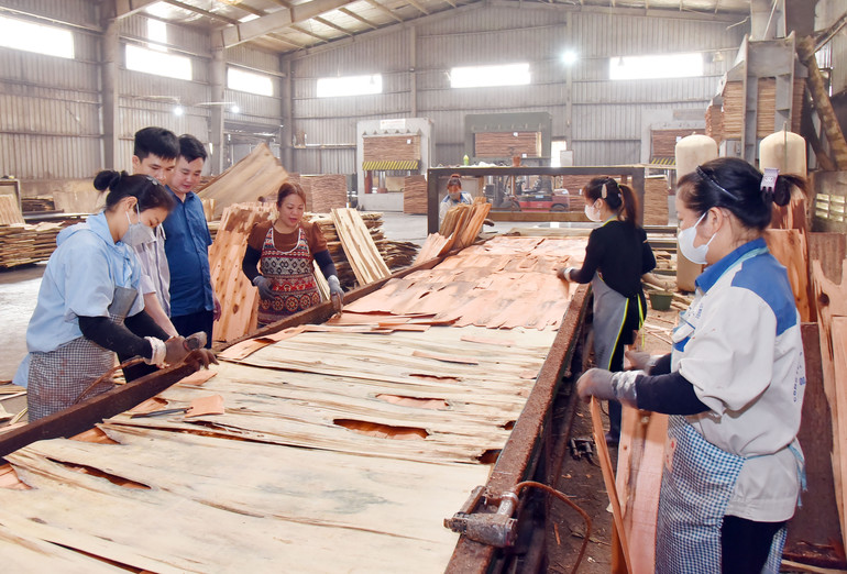 Hoạt động sản xuất tại Chi nhánh Công ty TNHH Sản xuất và Thương mại Hồng Ngọc. KCN-11.jpg