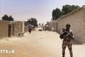 Phiến quân Boko Haram tấn công quân đội Cộng hòa Chad, ít nhất 40 người chết