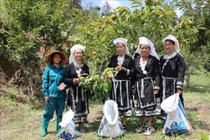 Hàng trăm tổ hợp tác được xây dựng và phát triển từ nguồn quỹ phát triển nông nghiệp quốc tế (IFAD)