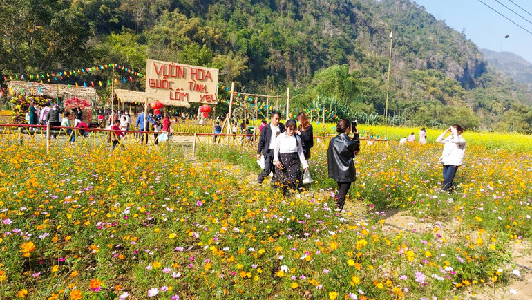Vườn hoa A Lềnh rực sắc chào đón khách tham quan, vui chơi dịp Tết.