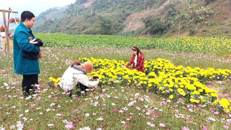 Du khách chụp ảnh tại vườn hoa Tổng Nẻng.