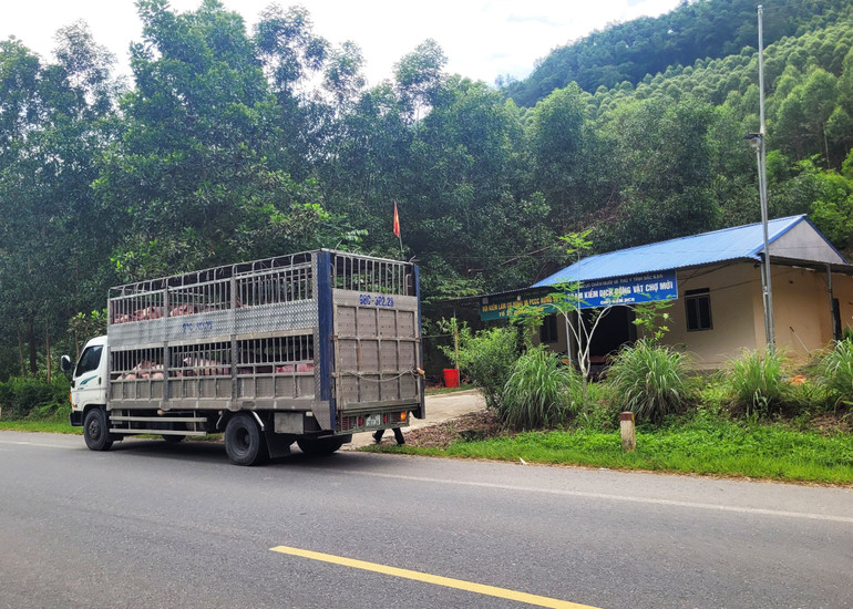 Khu vực chốt kiểm dịch động vật Chợ Mới. 1.jpg