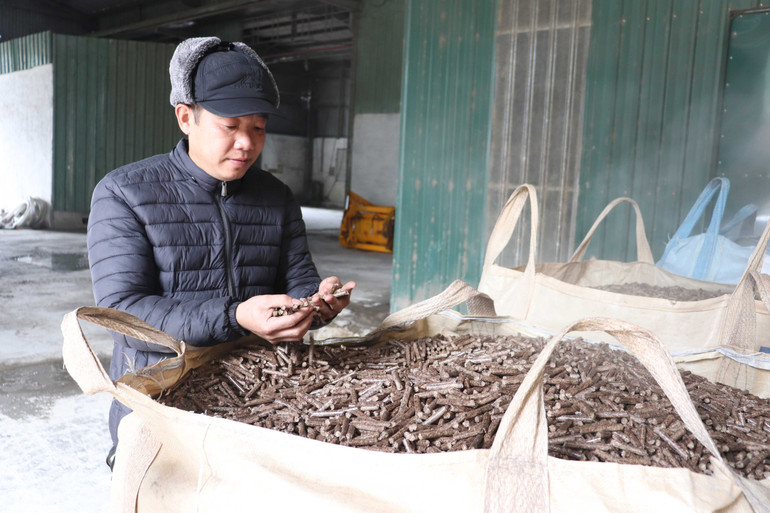 Anh Đinh Quang Hiếu kiểm tra sản phẩm vừa ra lò.