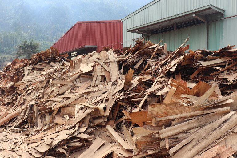 Những phụ phẩm bỏ đi của ván bóc được Công ty cổ phần Quang Minh Finance thu mua về sản xuất viên nén mùn cưa.