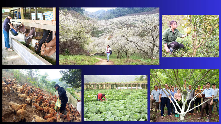 Tiềm năng lợi thế nông, lâm nghiệp của huyện Pác Nặm đang được triển khai có hiệu quả tại nhiều xã, góp phần tăng thu nhập và giảm nghèo.