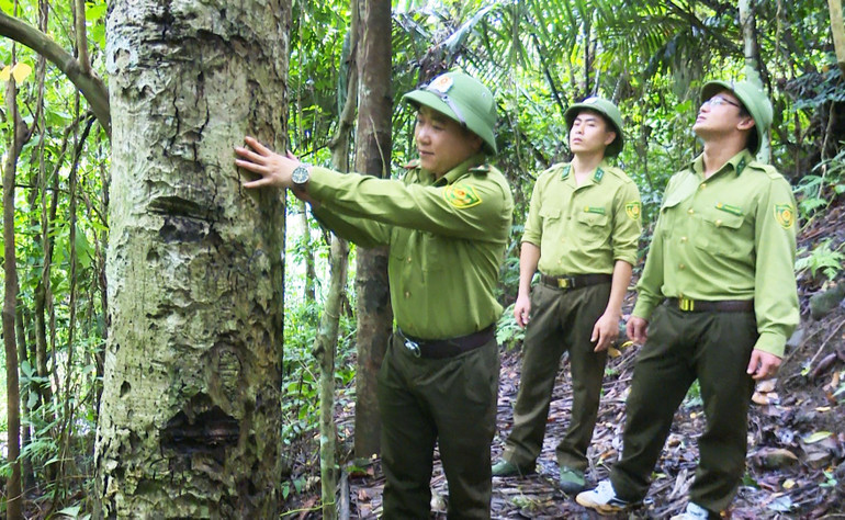 Công tác giữ rừng để bảo tồn đa dạng sinh học được lực lượng kiểm lâm ưu tiên thực hiện. TUAN TRA RUNG.jpg