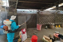 Phun thuốc diệt muỗi ngăn ngừa bệnh sốt rét