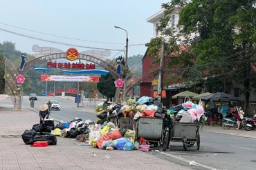 Những “chiến sỹ môi trường” ngày cuối năm