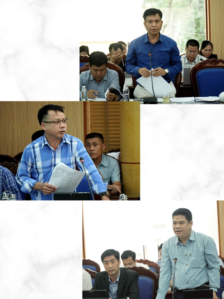 Đại diện một số sở, ngành, địa phương có ý kiến. phat-1.png