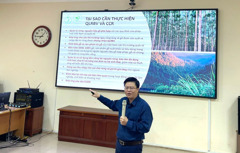 Ông Nguyễn Hoàng Tiệp, Phó Giám đốc Văn phòng Chứng chỉ quản lý rừng bền vững (VFCO) phổ biến về ý nghĩa, mục đích của cấp chứng chỉ quản lý rừng bền vững. anh-tiep.jpg
