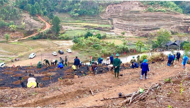 Tết trồng cây là hoạt động có ý nghĩa vào đầu năm mới. trong-1.jpg