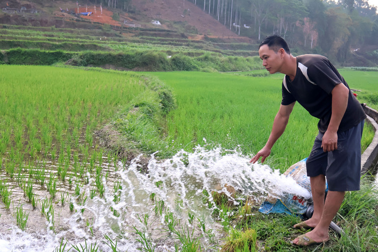 Do khô hạn kéo dài, mấy ngày nay anh Hà Văn Phục, thôn Phiêng Phường, xã Mỹ Phương (Ba Bể) tự bơm nước vào ruộng. anh-3.jpg