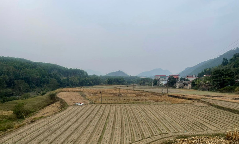 Ruộng khoai tây ở xã Trần Phú (Na Rì) đã trồng hơn 1 tháng nay nhưng phát triển chậm do thời tiết không có mưa. ruong.jpg