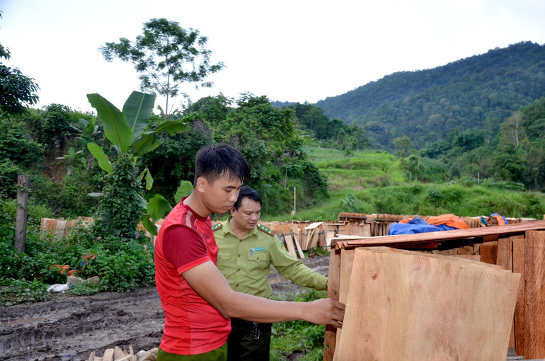 Một xưởng sản xuất ván bóc tại thị trấn Nà Phặc, huyện Ngân Sơn hoạt động chững lại do thời tiết mưa nhiều. nhiep 2.jpg