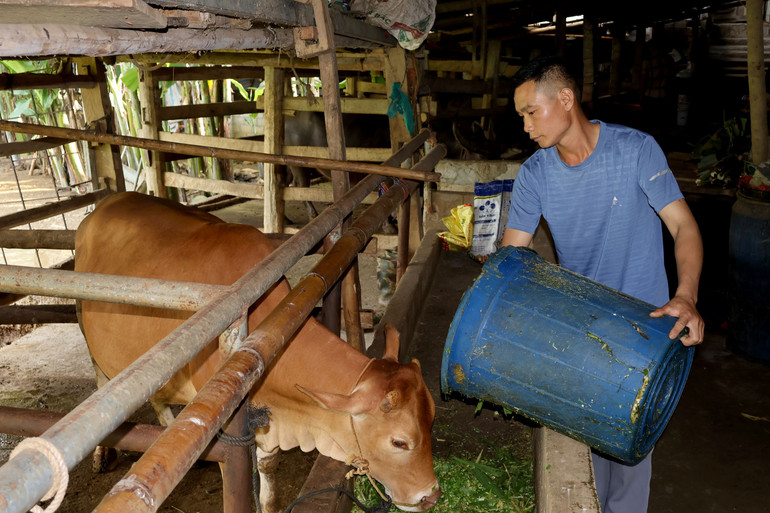 Anh Đặng Văn Pết đã có hành trình 18 năm gắn bó với nghề chăn nuôi. dang-pet.jpg