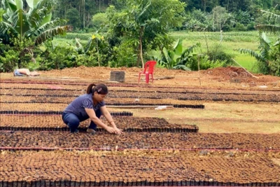 Ghi nhận về công tác giảm nghèo ở Kim Hỷ