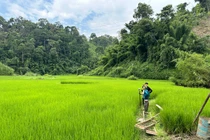 Công bố nhà thầu thi công tuyến đường Chợ Mới - Bắc Kạn
