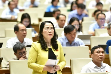 Phó Chủ nhiệm Ủy ban Pháp luật và Tư pháp đề nghị thành lập Tòa án chuyên biệt thuộc Trung tâm tài chính quốc tế trong hệ thống tổ chức Tòa án nhân dân