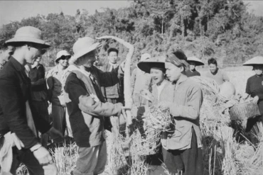 Về thăm quê Bác Làng sen