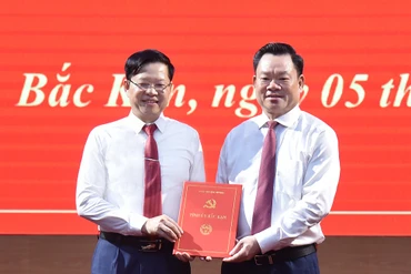 Đồng chí Đinh Quang Tuyên được chuẩn y giữ chức vụ Phó Bí thư Tỉnh ủy Bắc Kạn