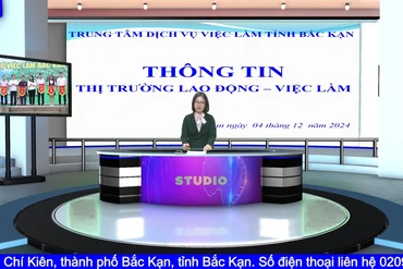 Tư vấn giới thiệu cơ hội việc làm tại tỉnh Hải Dương