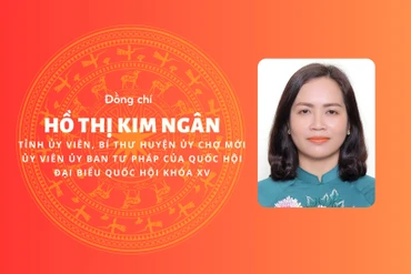 [Infographic] Đồng chí Hồ Thị Kim Ngân, tân Bí thư Huyện ủy Chợ Mới 