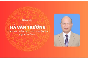 [Infographic] Đồng chí Hà Văn Trường, tân Bí thư Huyện ủy Bạch Thông 