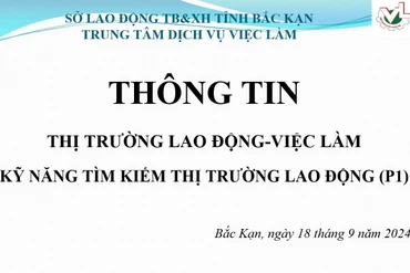 [Trực tiếp] Kỹ năng tìm kiếm thị trường lao động