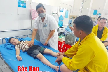 Người dân không nên hoang mang trước thông tin nhiều người bệnh nhập viện