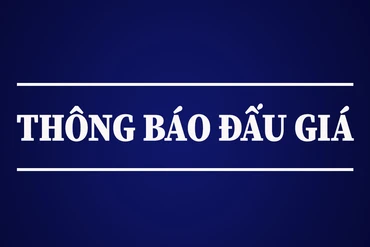 Thông báo đấu giá quyền khai thác khoáng sản cát sỏi Sông Năng