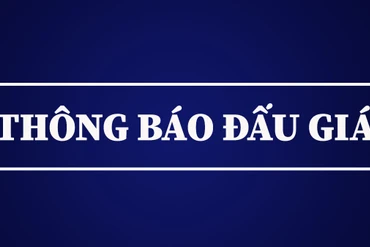 Thông báo đấu giá quyền khai thác khoáng sản