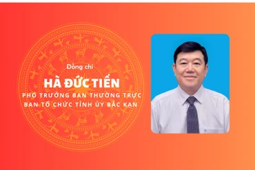 [Infographic] Đồng chí Hà Đức Tiến, tân Phó Trưởng ban Thường trực Ban Tổ chức Tỉnh ủy Bắc Kạn 