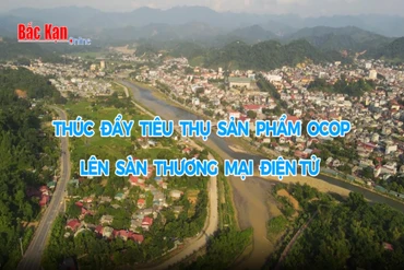 Thúc đẩy tiêu thụ sản phẩm OCOP lên sàn thương mại điện tử