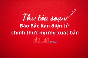 THƯ TÒA SOẠN