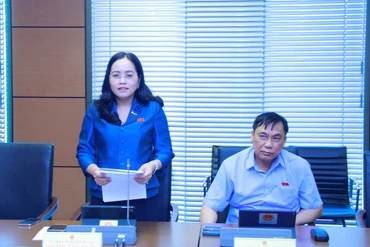 ĐBQH Hồ Thị Kim Ngân kiến nghị hoàn thiện dự thảo Luật Tương trợ tư pháp về hình sự