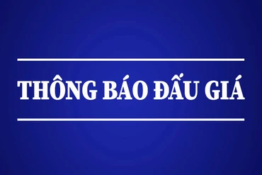 Thông báo đấu giá quyền khai thác khoáng sản đối với khu vực đất san lấp và đất làm gạch Nà Him (Nà Hin), thị trấn Đồng Tâm, huyện Chợ Mới, tỉnh Bắc Kạn (lần 2)