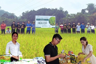 Xây dựng các sản phẩm chủ lực, tạo đà cho nông nghiệp hàng hóa - Bài 3