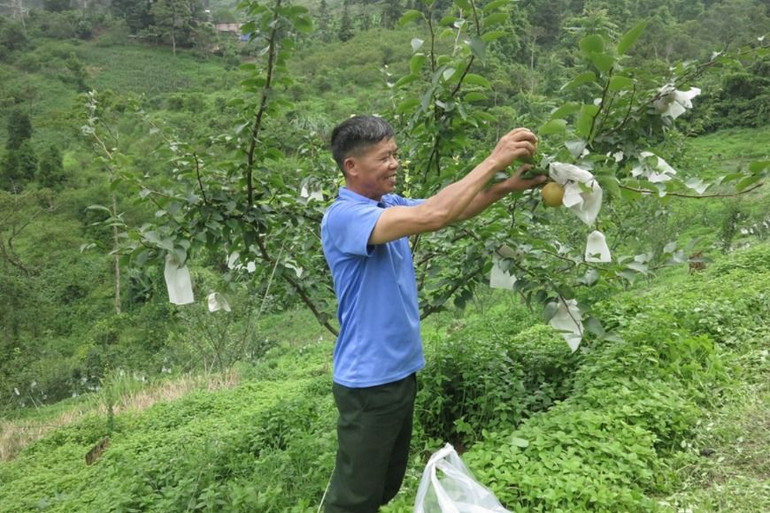 Ông Hoàng Văn Slín, Bí thư Chi bộ tiểu khu Đèo Gió (thị trấn Vân Tùng) là người có nhiều đóng góp cho phát triển của cộng đồng. 1- 2.jpg