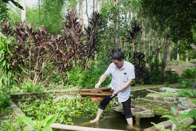 Anh Vũ Đại Phong nuôi thử nghiệm cá chạch trong bể, mở thêm hướng phát triển kinh tế mới của gia đình. DSC02783.JPG