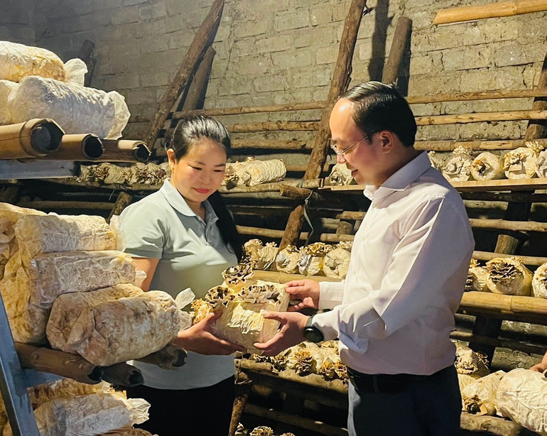 Đồng chí Nguyễn Đăng Bình, Phó Bí thư Tỉnh ủy, Chủ tịch UBND tỉnh tham quan mô hình sản xuất nấm của HTX Minh Anh. z5509788647737_c17f20101a28e698ffdad407dc053230.jpg